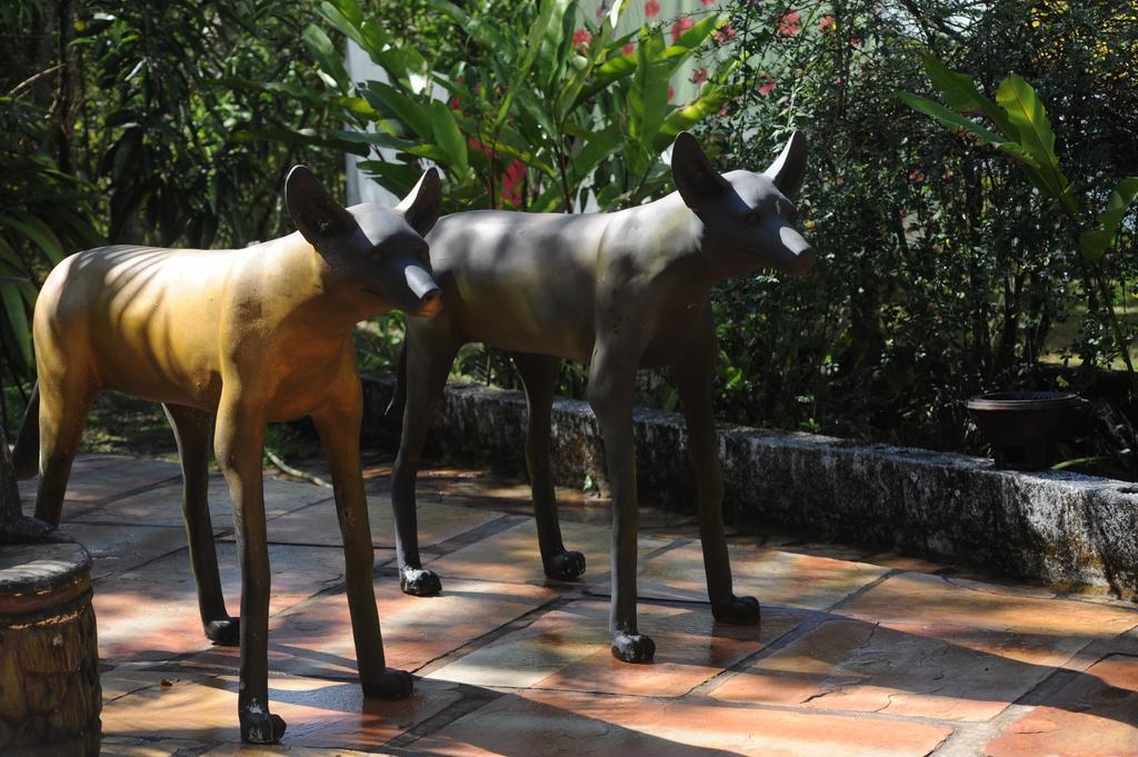 Pousada Sao Francisco De Paula Hotel Ouro Preto  Kültér fotó